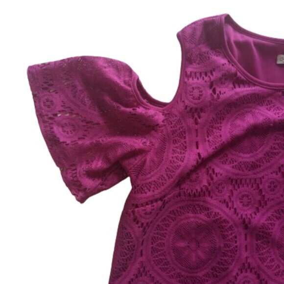 Pink Lace Overlay Dress Size 14 - Picture 2 of 4